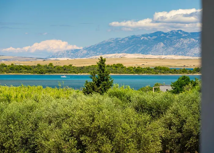 Апартаменты St Vitus Привлака